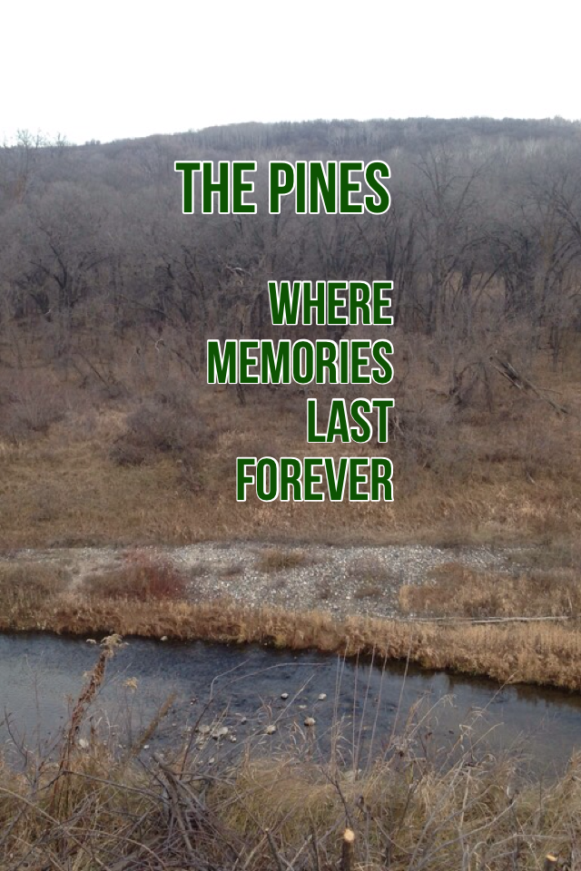 the pines
